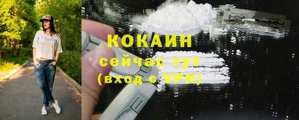 2c-b Горняк